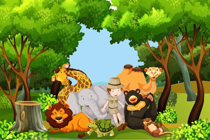 A zoo keeper with animals - Download Free Vector Art, Stock Graphics & Images