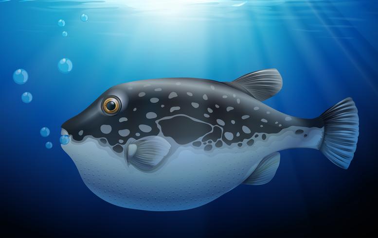 Puffer Fish in the Deep Ocean vector