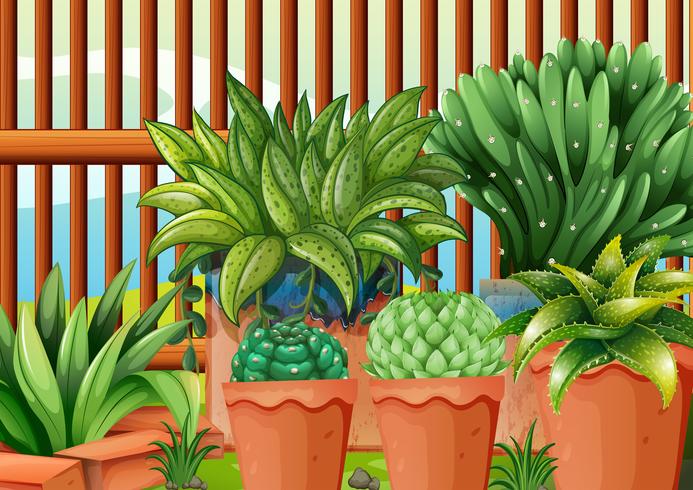 Pots with plants vector