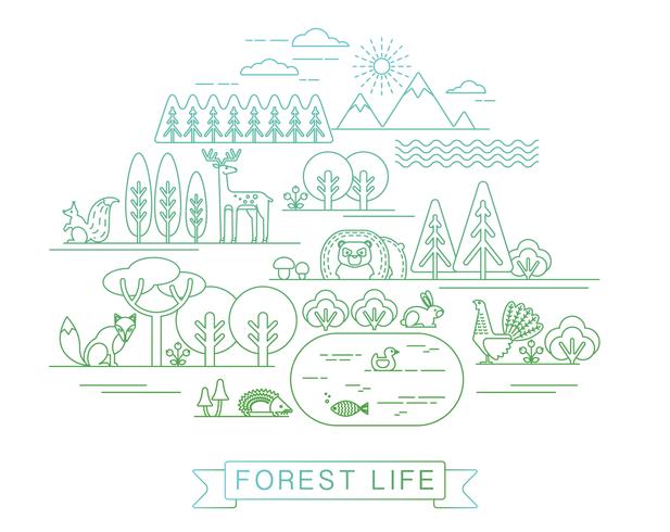 Ilustración vectorial de la vida forestal. vector