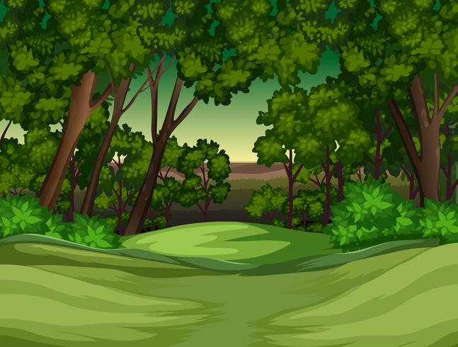 Un fondo de selva tropical vector