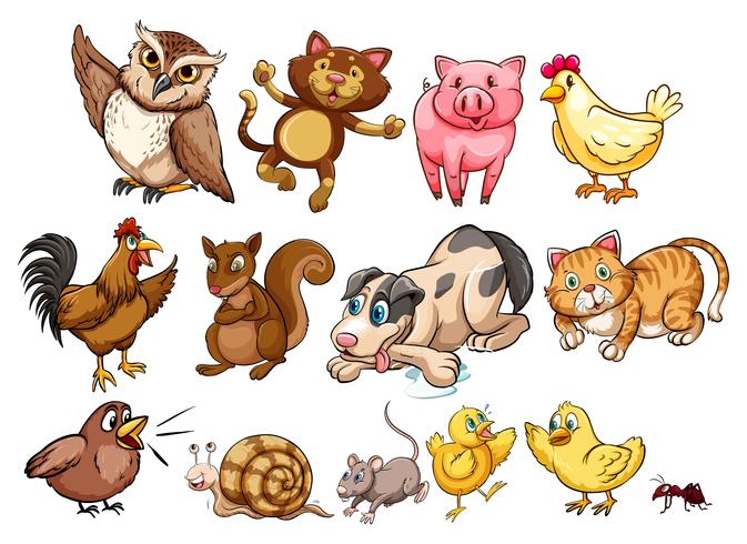 Diferentes tipos de animales de granja y mascotas. vector