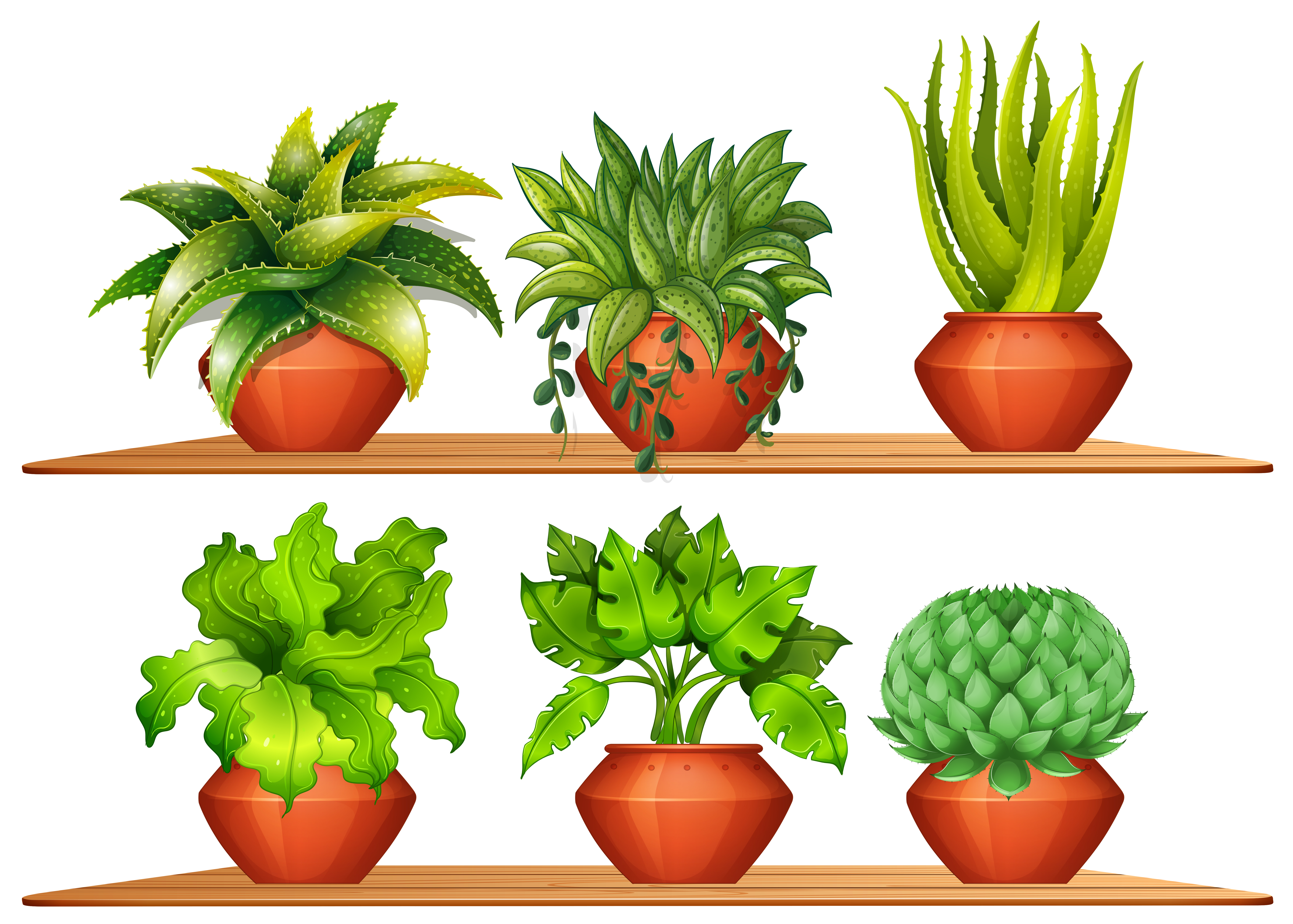 Different types of plants in pots 300419 Vector Art at Vecteezy