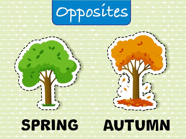 Spring and Autumn Oppesite words vector