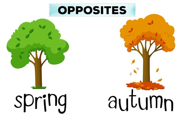 Palabras opuestas para primavera y otoño. vector