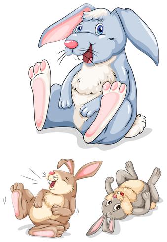 Set of rabbit character vector