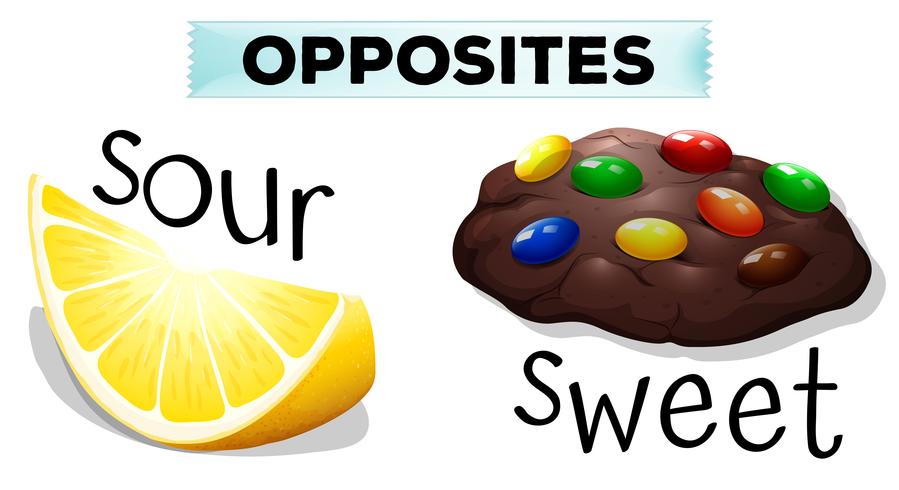 Opposite words with sour and sweet vector