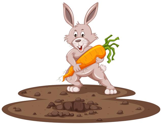 Cute bunny and fresh carrot in garden vector