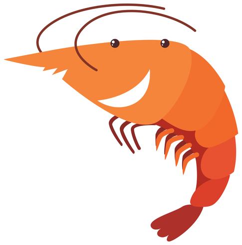 Shrimp with happy face vector