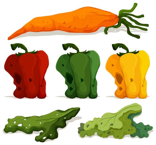 spoiled vegetables