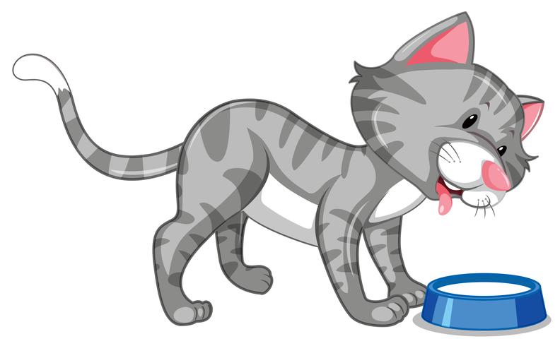 A cat character eating vector