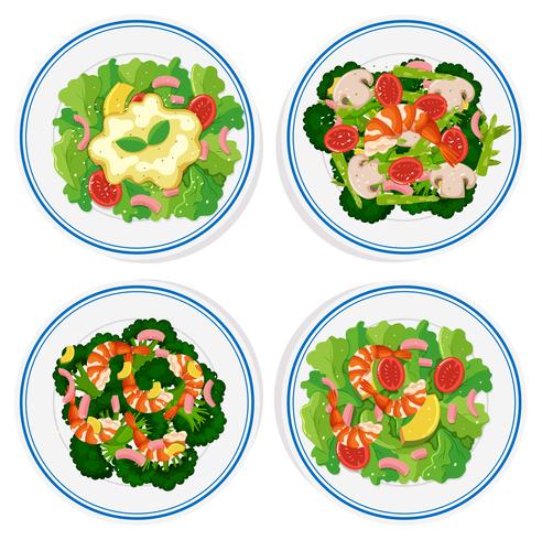 Four types of salad on round plate vector