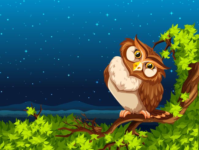 A owl at night vector