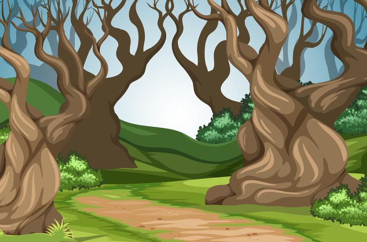 Road in the forest vector