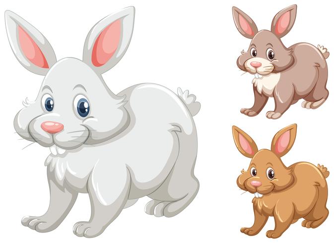 Rabbits with three different colors vector