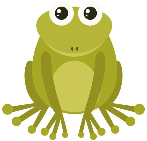 Green frog on white background vector