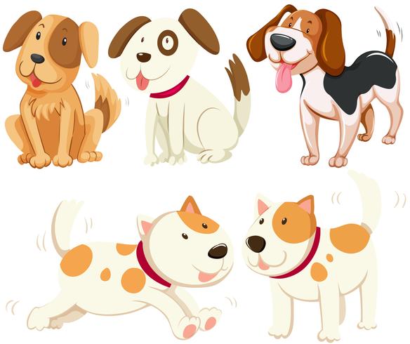 Diferentes tipos de perros cachorros. vector