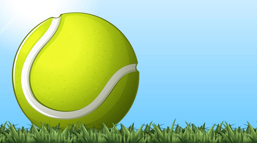 Pelota de tenis en el suelo vector