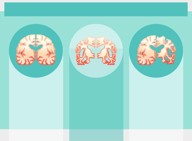 Background template with human brains vector