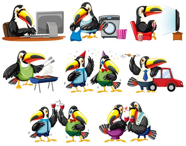 Toucan birds in different actions vector