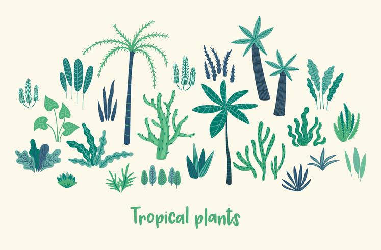 Conjunto del vector de plantas tropicales abstractas. Elementos de diseño