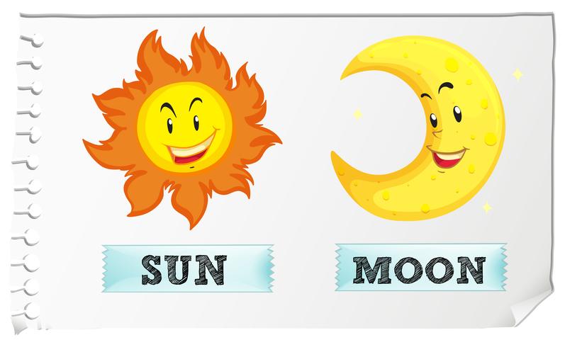 Sun and moon with happy face vector