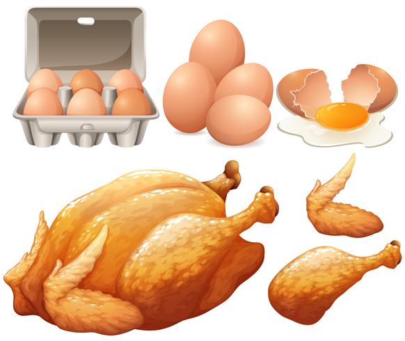 Fried chicken and fresh eggs vector