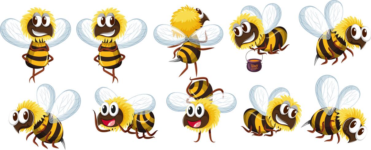 Conjunto de personaje de abeja vector