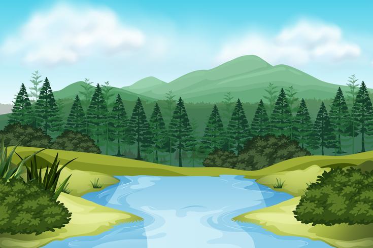 A nature stream view vector