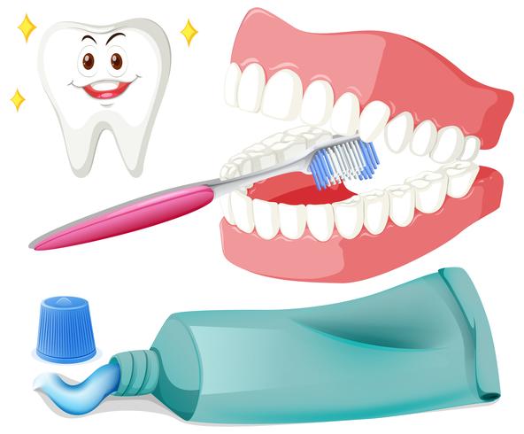 Brushing teeth with brush and paste vector