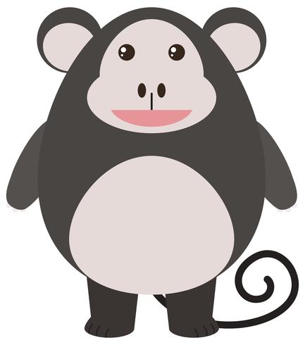 Cute monkey on white background vector