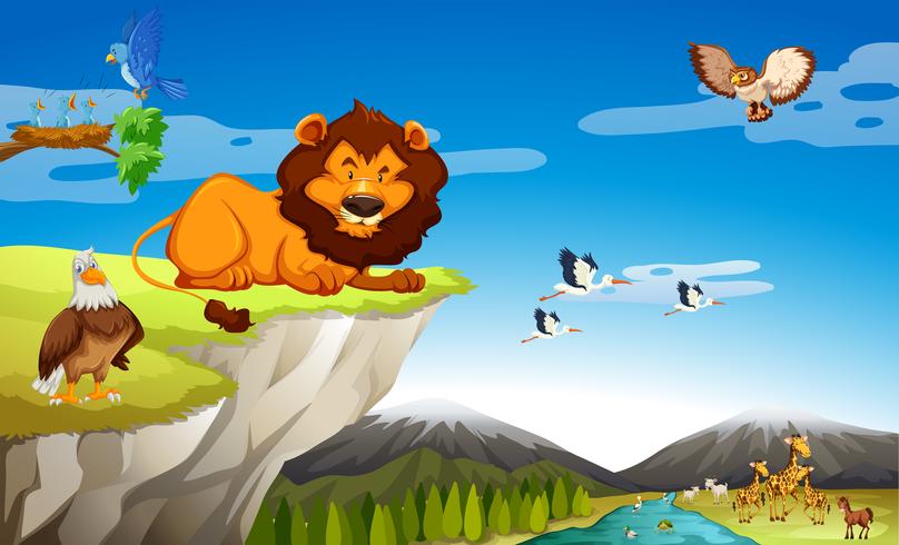 Many wild animals on the cliff vector