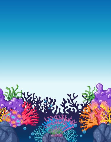 Scene with colorful coral reef underwater vector