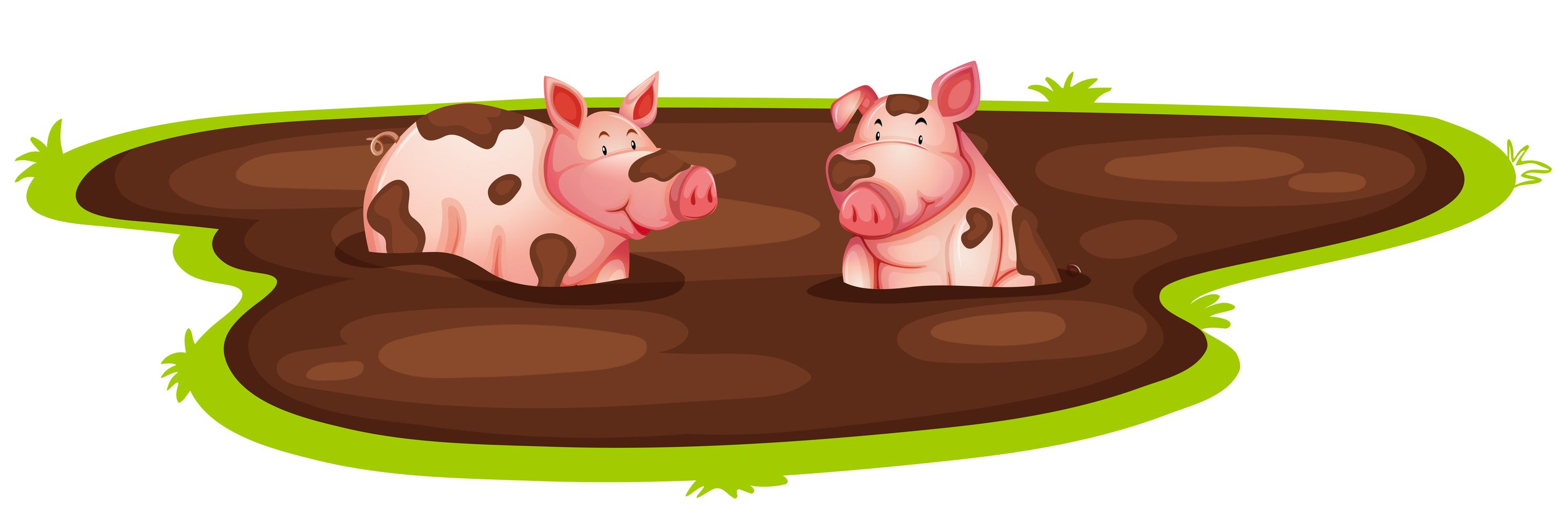 Pig playing in mud 301054 Vector Art at Vecteezy