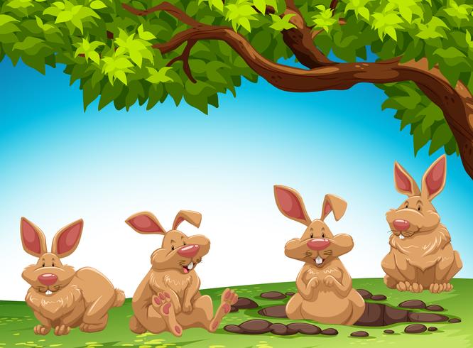 Group of rabbit digging ground vector