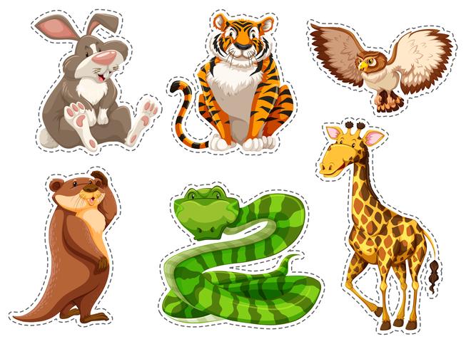 Sticker set of wild animals vector