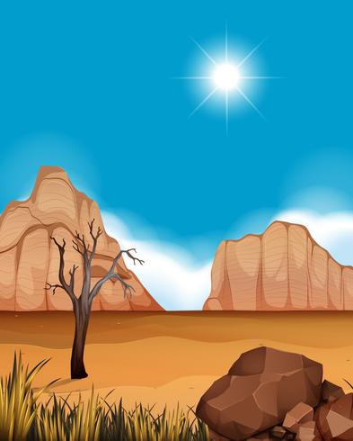 Escena del desierto con cañones y campo. vector