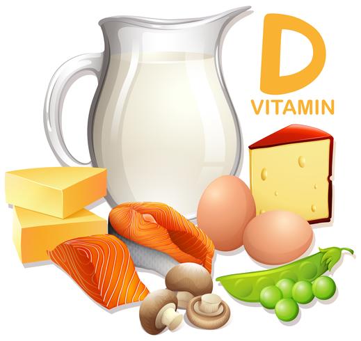 Un conjunto de alimentos con vitamina D vector