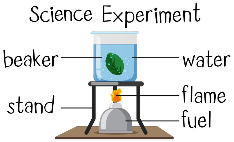 Experimento científico con hoja hirviendo. vector