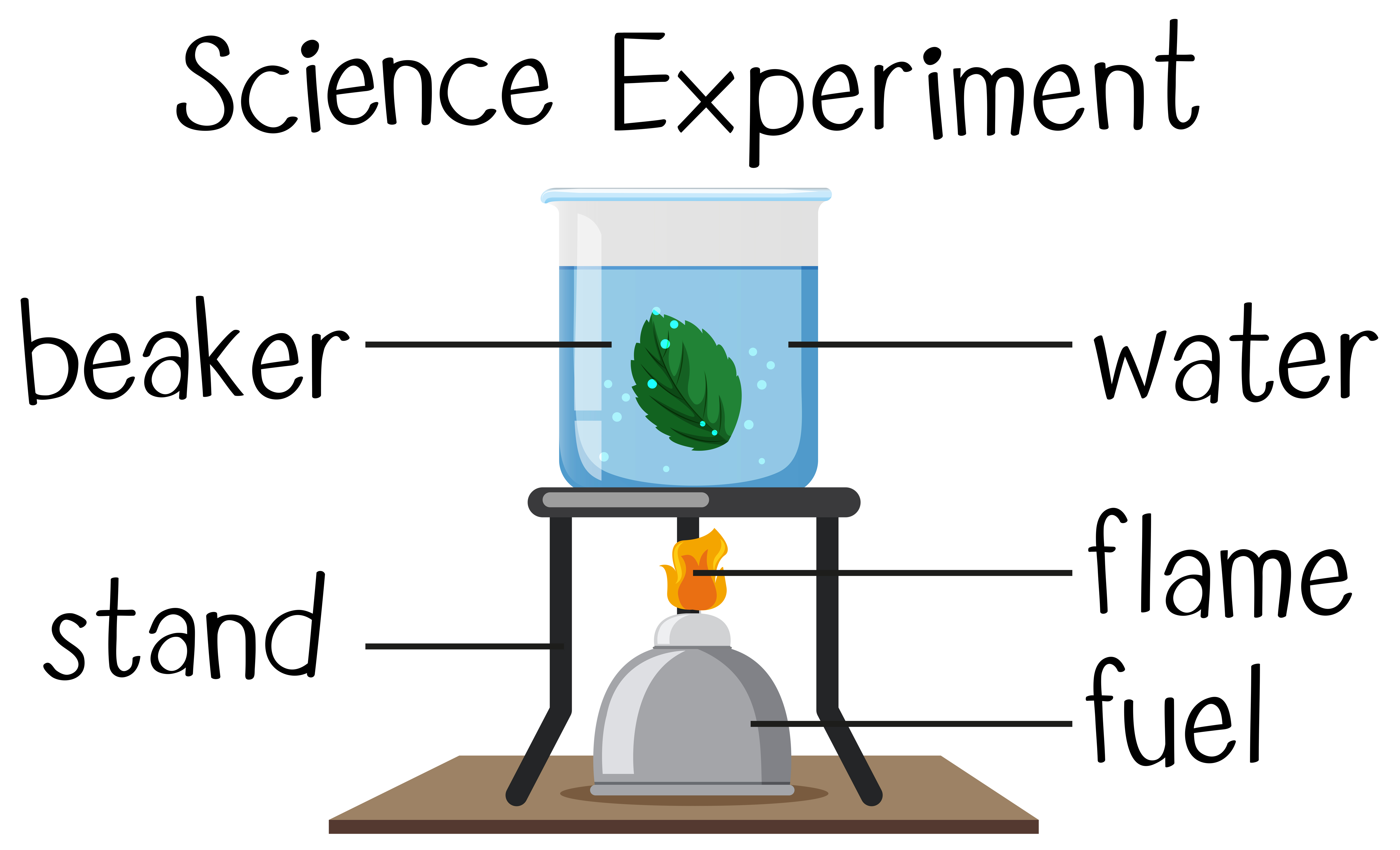 Science experiment with boiling leaf - Download Free ... boil diagram 
