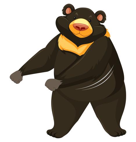 Oso negro bailando fondo blanco vector