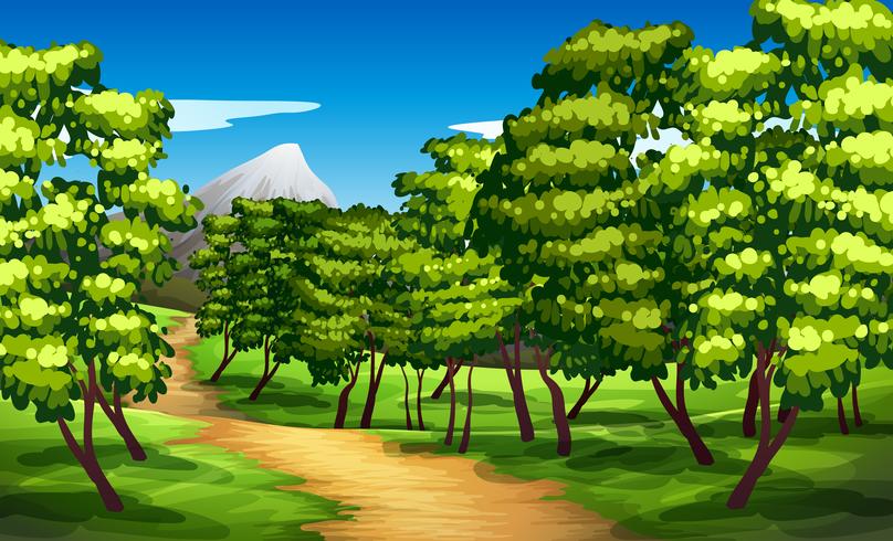 Beautiful green landscape background vector