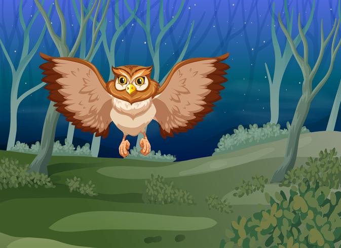 An owl flying at night vector