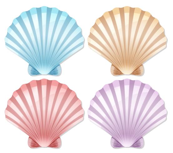 Set of color scallop shell vector