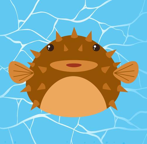 Puffer fish in Water Background vector