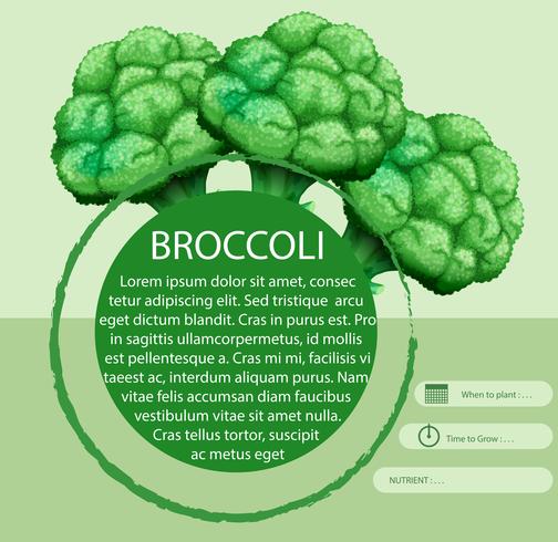 Brócoli fresco con diseño de texto vector