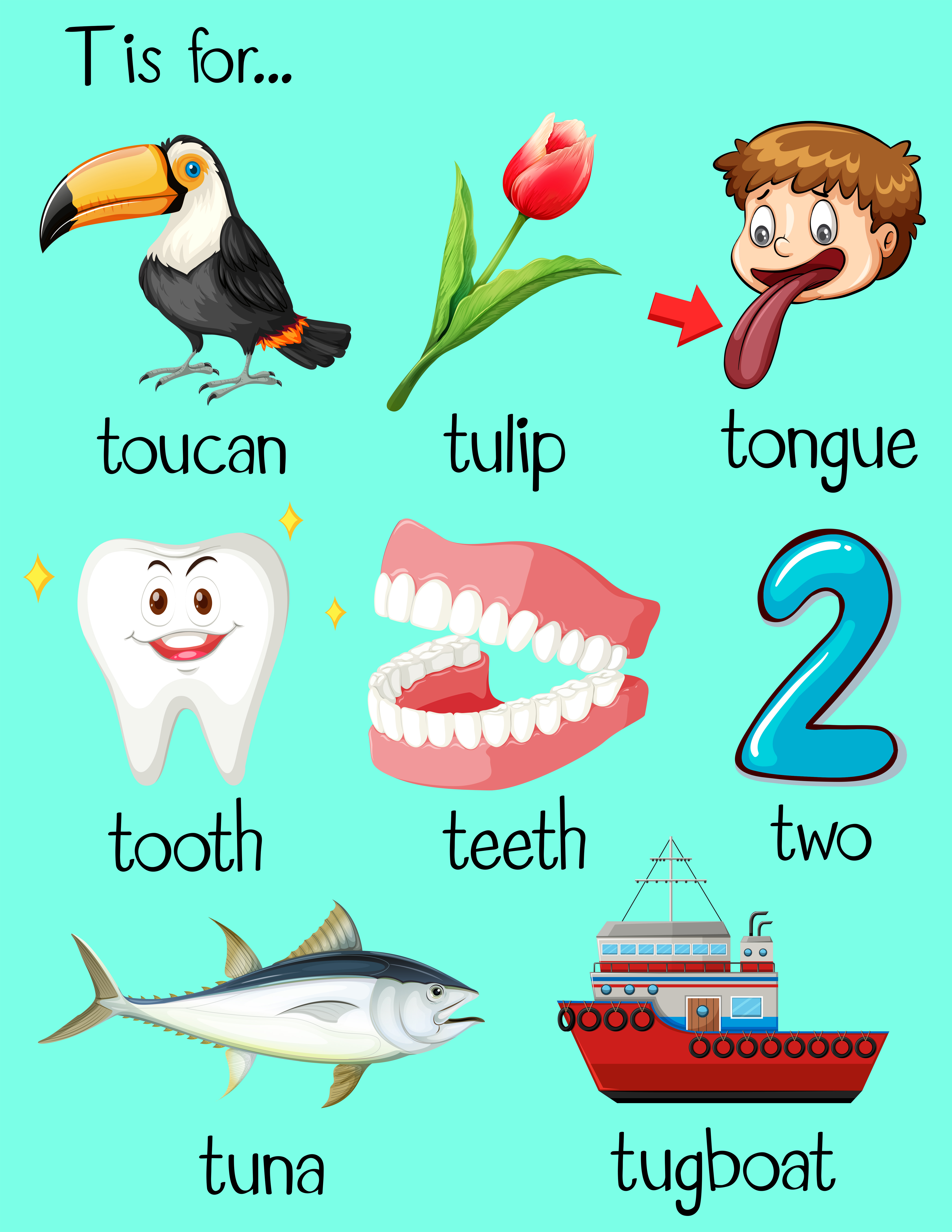 5 Letter Words With Y Muchas palabras comienzan con la letra T 301500 - Descargar Vectores