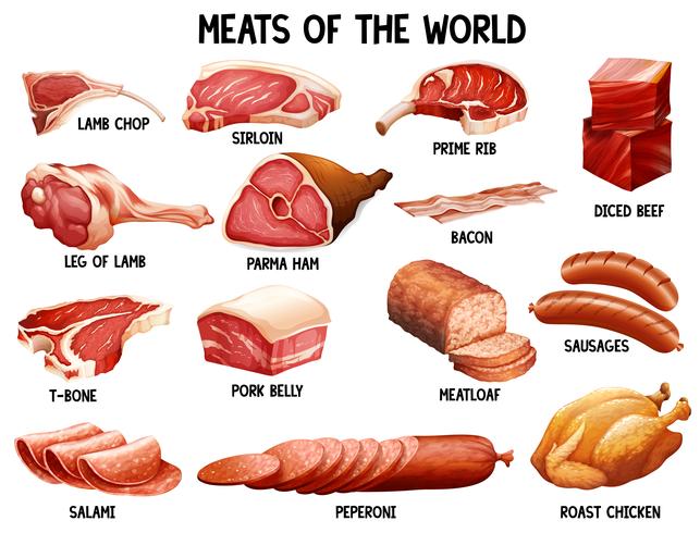 Carne del mundo vector