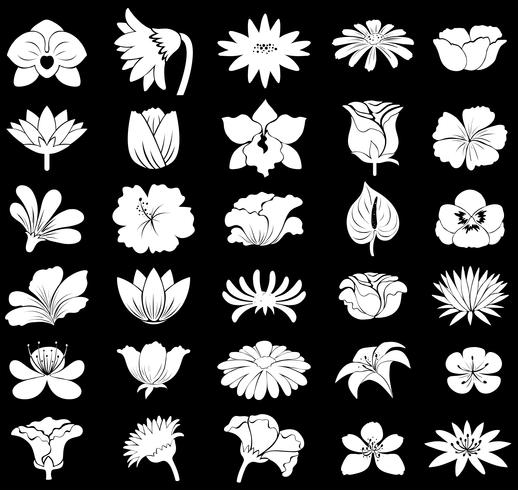 Flowers vector