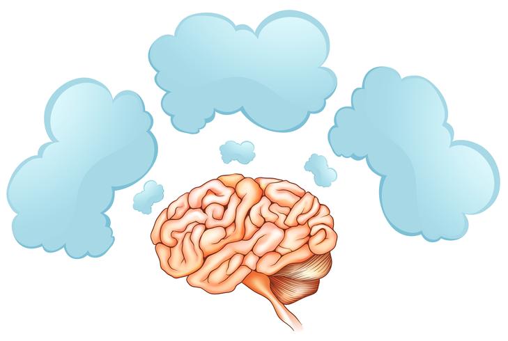 Human brain and three speech bubbles vector